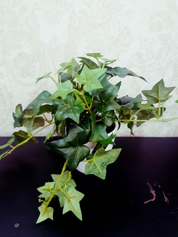 Artificial Ivy