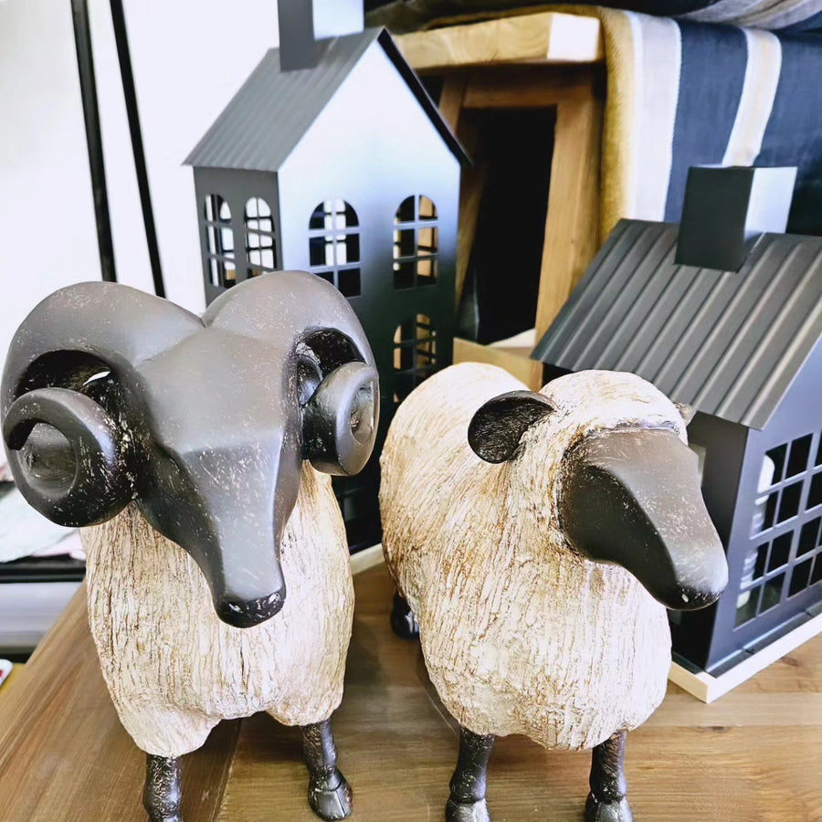 French Country Sheep & Ram