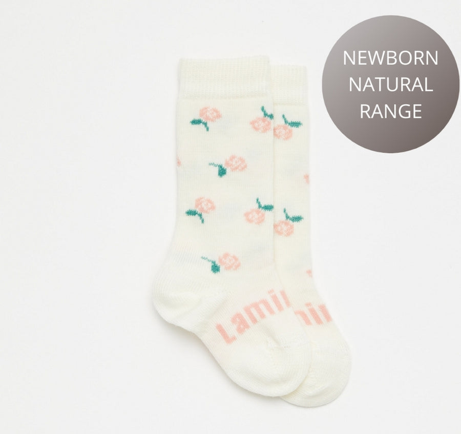 Lamington Rosie Knee High Socks