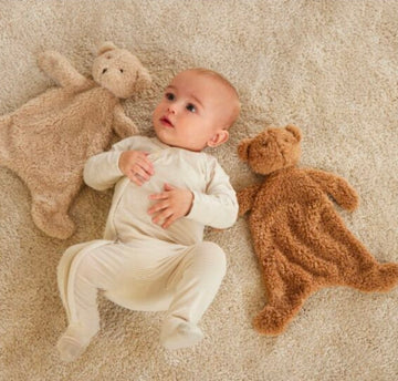 Cuddly Bear Comforter